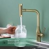Смеситель Splenka для кухни с мультифункциональным и выдвижным изливом S206.49.03 Золотой сатин