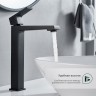 Смеситель Splenka высокий для умывальника S01.15.06 Черный