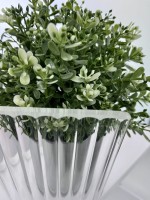 Душевая перегородка RGW WA-08Gb (700)