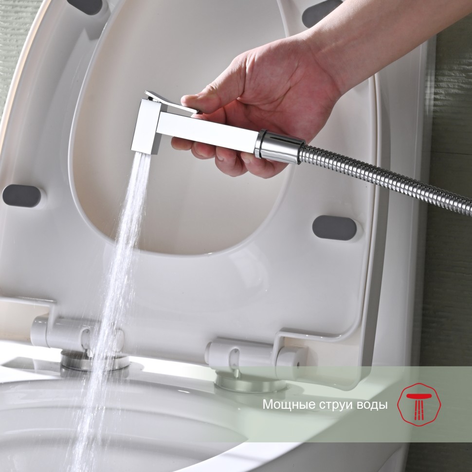 Смеситель Raglo настенный с гигиеническим душем хром