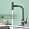 Смеситель Splenka для кухни с мультифункциональным и выдвижным изливом S206.49.09 графит