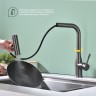 Смеситель Splenka для кухни с мультифункциональным и выдвижным изливом S206.49.09 графит