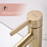 Смеситель Splenka для умывальника S221.10.03 Золотой сатин