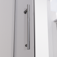 Душевая дверь распашная Veconi Premium Alassio GR, 1200х2000, брашированный графит, стекло прозрачное осветленное