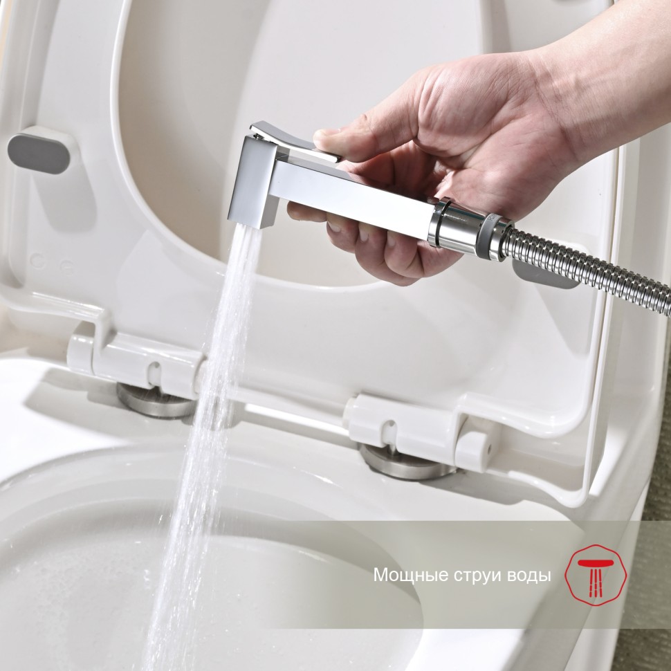 Смеситель Raglo с гигиеническим душем встраиваемый хром