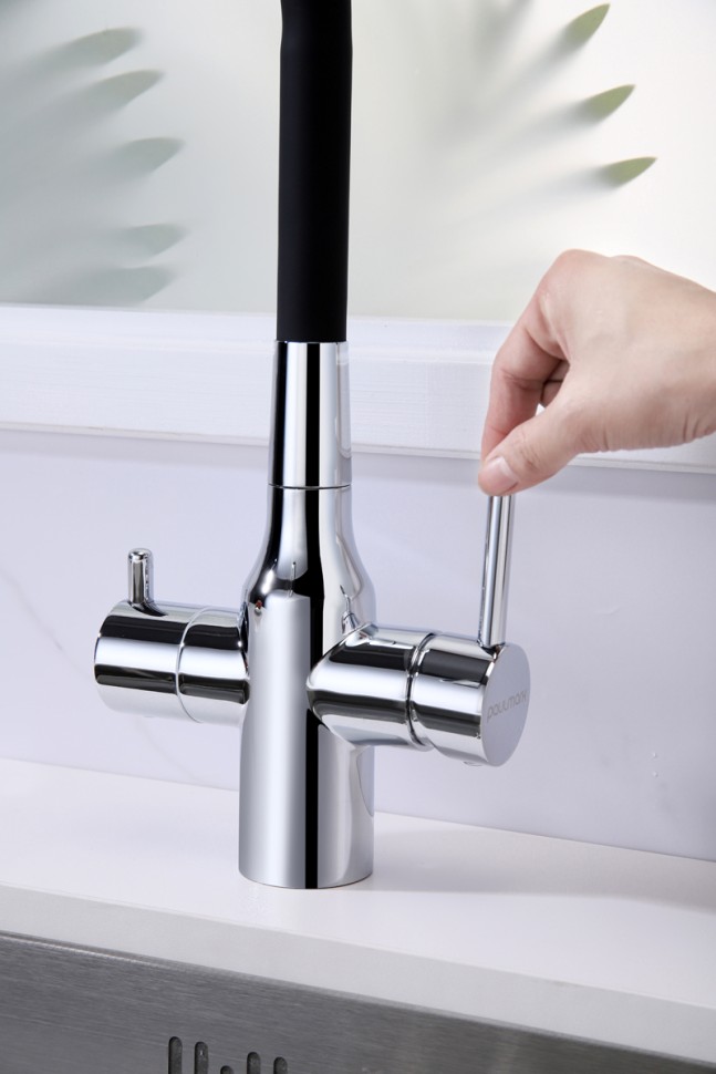 Смеситель для кухни Salix, хром, Sa213419-CR, Paulmark