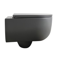 Унитаз подвесной Veconi Rino VRI-49TGR