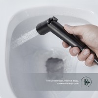 Смеситель Splenka настенный с гигиеническим душем S41.51.09 Графит