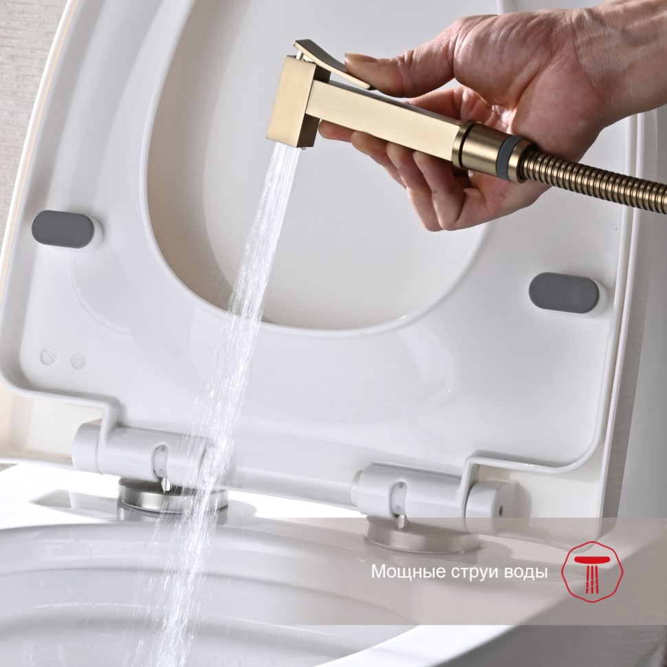 Смеситель Raglo встраиваемый с гигиеническим душем золотой сатин