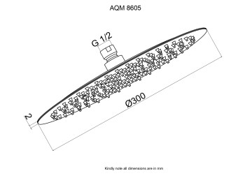 AQM8605GM Верхний душ O300 мм, нержавеющая сталь, металл