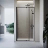 Душевая дверь Veconi Vianno VN-26B, 800x1950, черный, стекло прозрачное