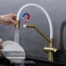 Смеситель Splenka для кухни со съемным гибким изливом, с магнитным фиксатором излива, с подключением фильтра питьевой воды S70.62.03 Золотой сатин