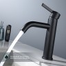 Смеситель Splenka для умывальника S221.10.06 Черный
