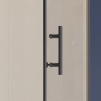 Душевая дверь RGW HO-012B (Прозрачное, 1000)