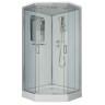 Душевая кабина Niagara Premium NG-6002-01D (100х100х220) низкий поддон(16 см),стекло прозрачное,4 места