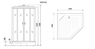 Душевая кабина Niagara Premium NG-6002-01D (100х100х220) низкий поддон(16 см),стекло прозрачное,4 места