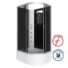Душевая кабина Niagara Classic NG-2510-14LBKG (120х80х200) высокий поддон(40см),стекло тонированное,4 места