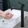 Смеситель Splenka высокий для умывальника S221.15.06 Черный