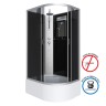 Душевая кабина Niagara Classic NG-2510-14LBKT (120х80х210) высокий поддон(40см),стекло тонированное,4 места