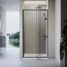 Душевая дверь Veconi Vianno VN-26B, 1200x1950, черный, стекло прозрачное