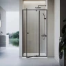 Душевая дверь Veconi Vianno VN-26B, 1200x1950, черный, стекло прозрачное