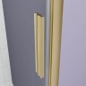 Душевая дверь Veconi Ottimo P30 G, 800x1900, золото брашинг, стекло прозрачное