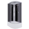 Душевая кабина Niagara Classic NG-2510-14L (120х80х215) высокий поддон(40см),стекло тонированное,4 места