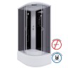Душевая кабина Niagara Classic NG-2510-14L (120х80х215) высокий поддон(40см),стекло тонированное,4 места