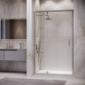 Душевая дверь RGW LE-103 (Прозрачное, 1100)
