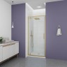 Душевая дверь Veconi Ottimo P30 G, 900x1900, золото брашинг, стекло прозрачное