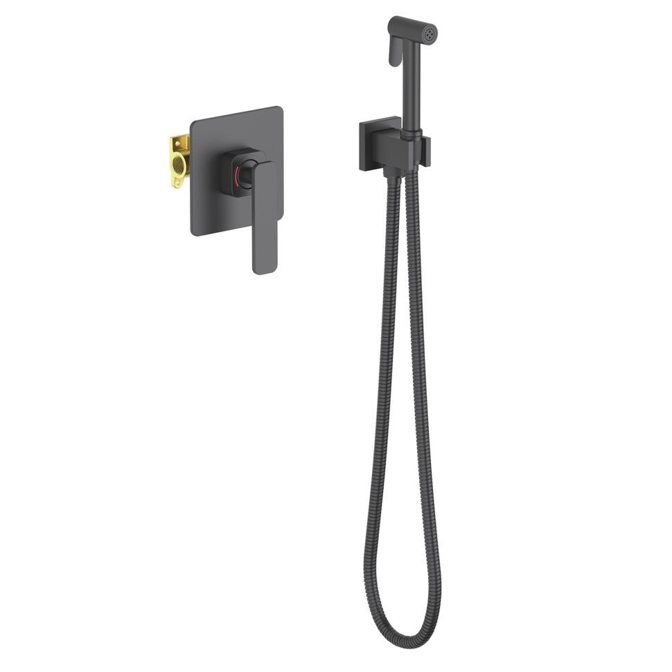 Смеситель встроенный с гигиеническим душем Timo Torne 4389/03SM черный