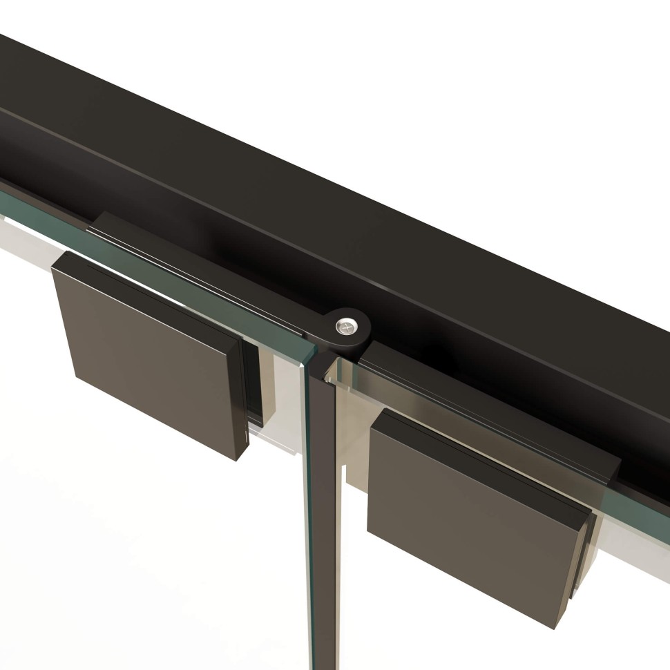 Душевая дверь RGW PA-21B (900)