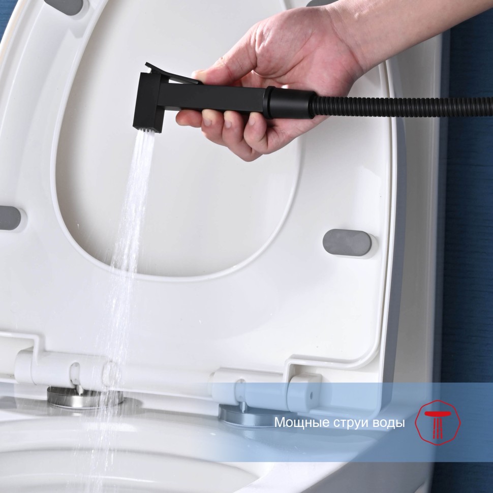 Смеситель Raglo настенный с гигиеническим душем черный