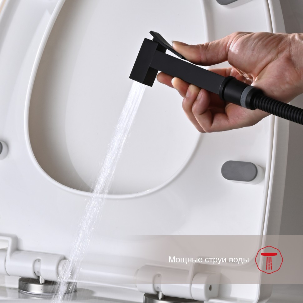 Смеситель Raglo встраиваемый с гигиеническим душем черный