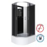 Душевая кабина Niagara Classic NG-2510-14RBK (120х80х200) высокий поддон(40см),стекло тонированное,4 места