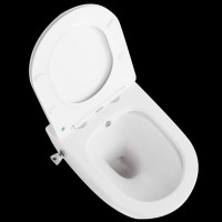 подвесной унитаз-биде ceramalux 2196-BD