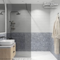 Душевая перегородка IBERICA BLANCA Mod.602 Walk In тонированное стекло/черный 90х200см (IB602.TB.200.90)