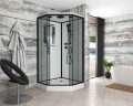 Душевая кабина Niagara Premium NG-6901-01D BLACK (90х90х220) низкий поддон(16 см),черный,стекло тонированное,4 места