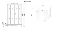 Душевая кабина Niagara Premium NG-6901-01D BLACK (90х90х220) низкий поддон(16 см),черный,стекло тонированное,4 места
