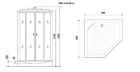 Душевая кабина Niagara Premium NG-6901-01D BLACK (90х90х220) низкий поддон(16 см),черный,стекло тонированное,4 места
