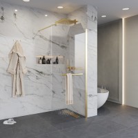 Душевая перегородка Niagara Nova NG-641-10GOLD (100х195) золото,стекло прозрачное,1 место