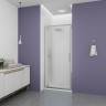 Душевая дверь Veconi Ottimo P30 CH, 900x1900, хром, стекло матовое