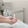 Смеситель Splenka высокий для умывальника S222.15.05 Сатин