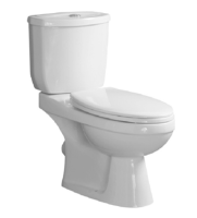 ALBO Унитаз напольный безободковый белый, сиденье дюропласт, soft close IBERICA BLANCA