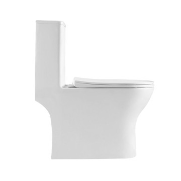 Унитаз-моноблок с сиденьем BelBagno LOUNGE BB8618CPR-MN/SC
