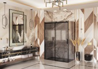 Душевое ограждение Ambassador Benefit 19022202HBB-110HBB (130х110х200) прямоугольник,черный,стекло тонированное,раздвижная,2 места