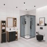 Душевая кабина Niagara Premium NG-6901-01GQ BLACK (90х90х210) низкий поддон(16 см),черный,стекло тонированное,4 места