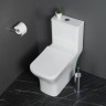 Унитаз-моноблок с сиденьем BelBagno NEON BB8617CPR-MN/SC