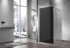 Душевая перегородка Волк-Ин (Walk-In) VSW-1H100GFGM, 1000*2000, вороненая сталь, стекло матовое тонированное