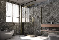 Душевой угол Veconi Premium Trento PTC-SP-40G, 1400х900x2000, брашированное золото, стекло прозрачное